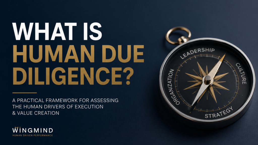 What is Human Due Diligence?